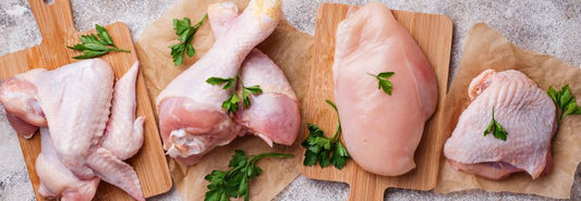 Your Source for Premium Chicken Products at Wholesale Prices